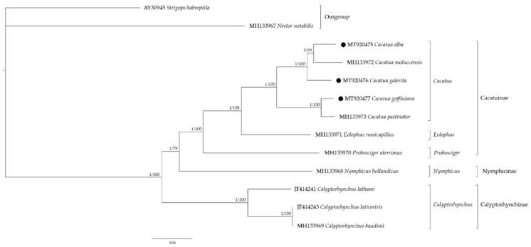 https://cdn.ncbi.nlm.nih.gov/pmc/blobs/724a/7910981/30be8ee72abd/genes-12-00209-g005.jpg