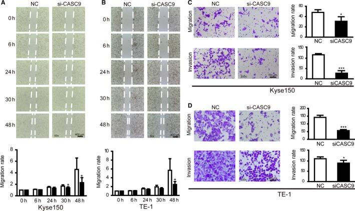 https://cdn.ncbi.nlm.nih.gov/pmc/blobs/724b/5055159/ac053d347ad4/CAM4-5-2442-g004.jpg