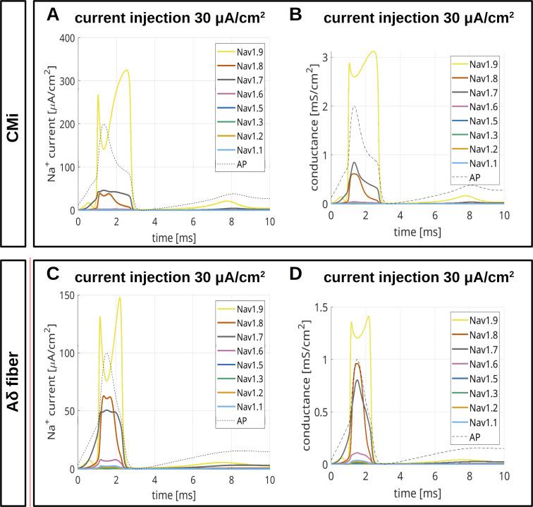 https://cdn.ncbi.nlm.nih.gov/pmc/blobs/724c/11748974/3c00161bba9a/jgp_202313526_figs8.jpg
