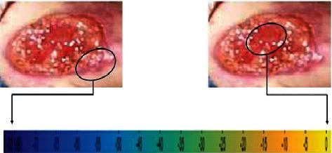 https://cdn.ncbi.nlm.nih.gov/pmc/blobs/724c/8643237/0feb3eda37d6/CMMM2021-4208254.007.jpg