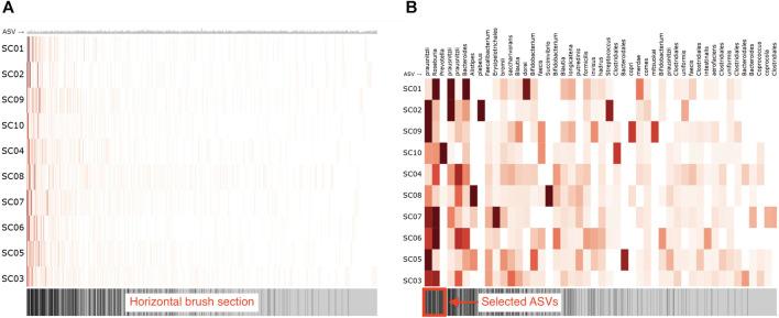 https://cdn.ncbi.nlm.nih.gov/pmc/blobs/724d/10875061/1e4e741d85e9/fbinf-04-1331043-g007.jpg