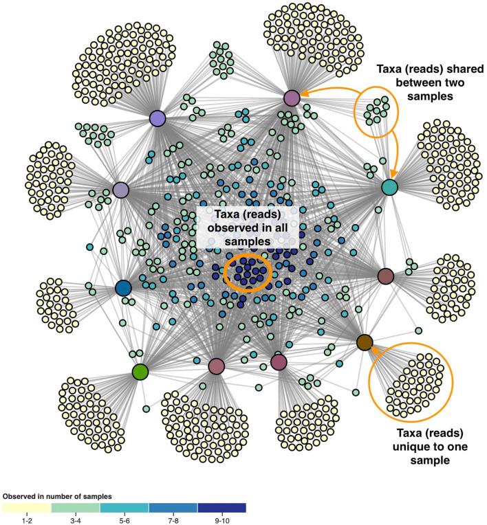 https://cdn.ncbi.nlm.nih.gov/pmc/blobs/724d/10875061/2b3525104cc9/fbinf-04-1331043-g002.jpg