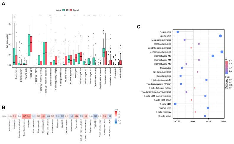 https://cdn.ncbi.nlm.nih.gov/pmc/blobs/724d/11988946/630b3bff644d/ijms-26-03088-g006.jpg