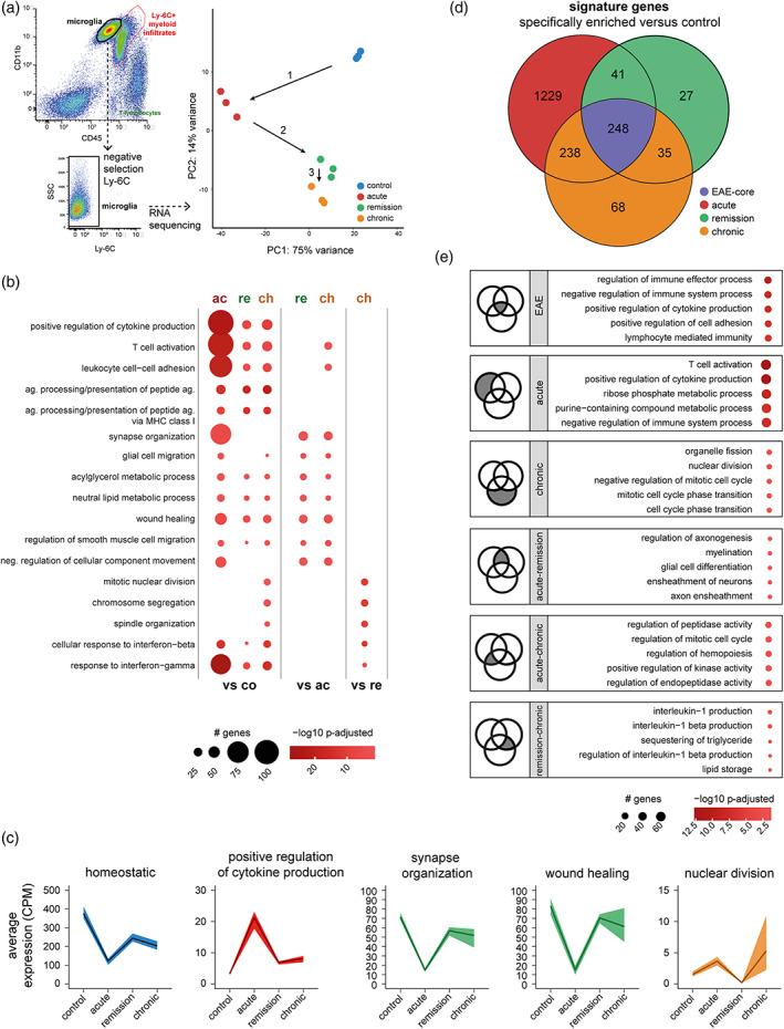 https://cdn.ncbi.nlm.nih.gov/pmc/blobs/7254/10100411/83c90b388780/GLIA-71-588-g004.jpg