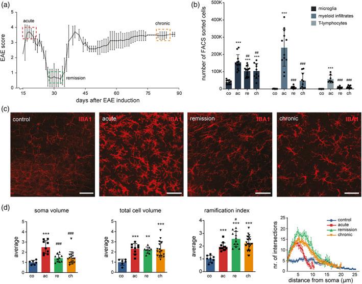 https://cdn.ncbi.nlm.nih.gov/pmc/blobs/7254/10100411/ddf6fd578d02/GLIA-71-588-g001.jpg