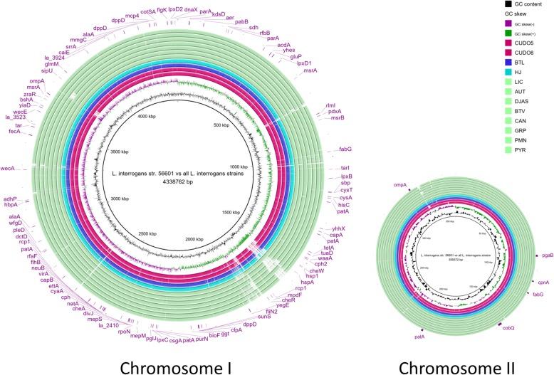 https://cdn.ncbi.nlm.nih.gov/pmc/blobs/7254/6399948/7049267fe811/12864_2019_5562_Fig7_HTML.jpg