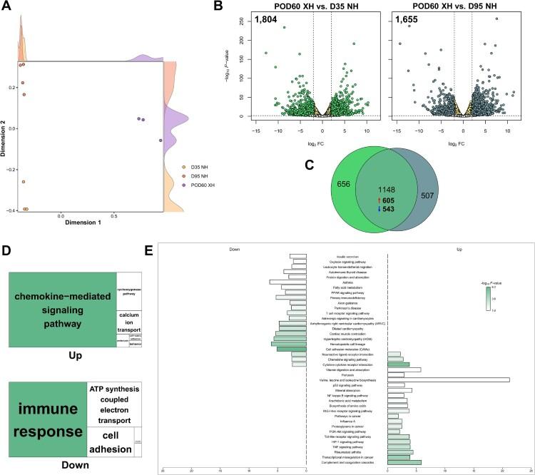 https://cdn.ncbi.nlm.nih.gov/pmc/blobs/7255/10552608/76c62476b0b3/TACS_A_2265150_F0002_OC.jpg