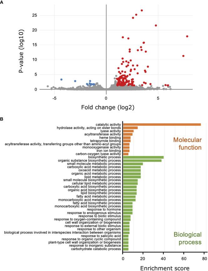 https://cdn.ncbi.nlm.nih.gov/pmc/blobs/7256/10484095/1b6d436b211e/fpls-14-1211825-g003.jpg