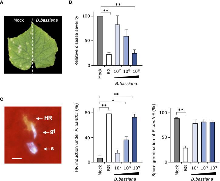 https://cdn.ncbi.nlm.nih.gov/pmc/blobs/7256/10484095/f6bae728f068/fpls-14-1211825-g002.jpg