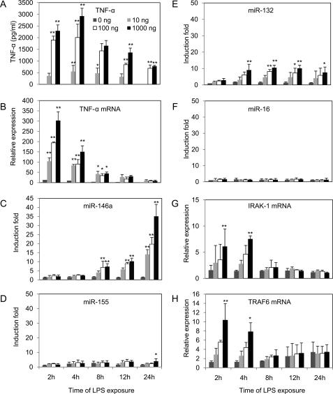 https://cdn.ncbi.nlm.nih.gov/pmc/blobs/7256/2787321/49b732bf521a/zbc0021099090001.jpg