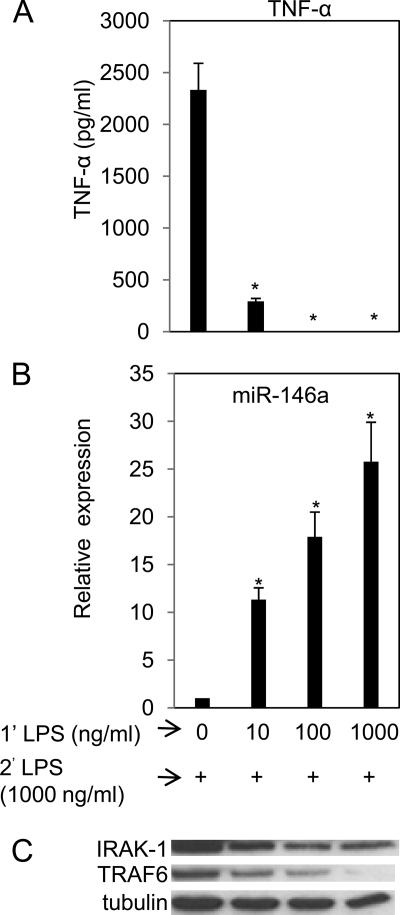 https://cdn.ncbi.nlm.nih.gov/pmc/blobs/7256/2787321/b0e531db2a78/zbc0021099090003.jpg