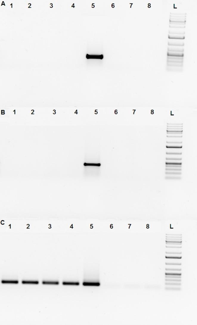 https://cdn.ncbi.nlm.nih.gov/pmc/blobs/7256/4858258/daf77de8fa6b/pone.0154489.g004.jpg
