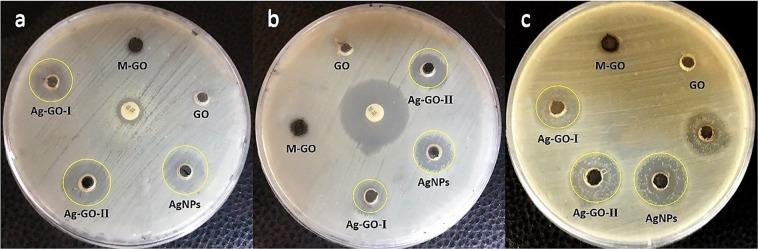 https://cdn.ncbi.nlm.nih.gov/pmc/blobs/7256/6591237/fadae1209e27/41598_2019_45332_Fig6_HTML.jpg