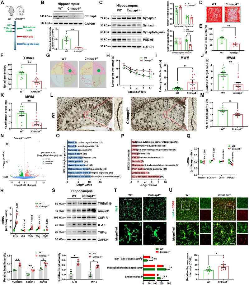 https://cdn.ncbi.nlm.nih.gov/pmc/blobs/7259/10624376/260de655418d/EXP2-3-20220160-g008.jpg
