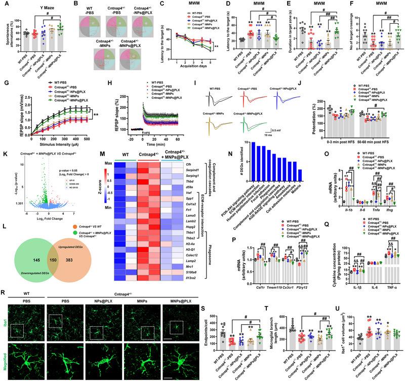 https://cdn.ncbi.nlm.nih.gov/pmc/blobs/7259/10624376/446f88468ba2/EXP2-3-20220160-g001.jpg