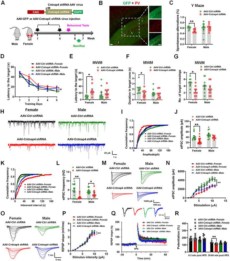 https://cdn.ncbi.nlm.nih.gov/pmc/blobs/7259/10624376/899171977842/EXP2-3-20220160-g005.jpg