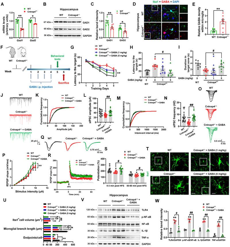 https://cdn.ncbi.nlm.nih.gov/pmc/blobs/7259/10624376/b0fd2d45ba51/EXP2-3-20220160-g003.jpg
