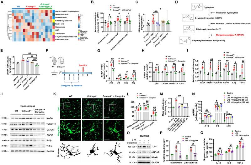 https://cdn.ncbi.nlm.nih.gov/pmc/blobs/7259/10624376/e32f23963866/EXP2-3-20220160-g006.jpg