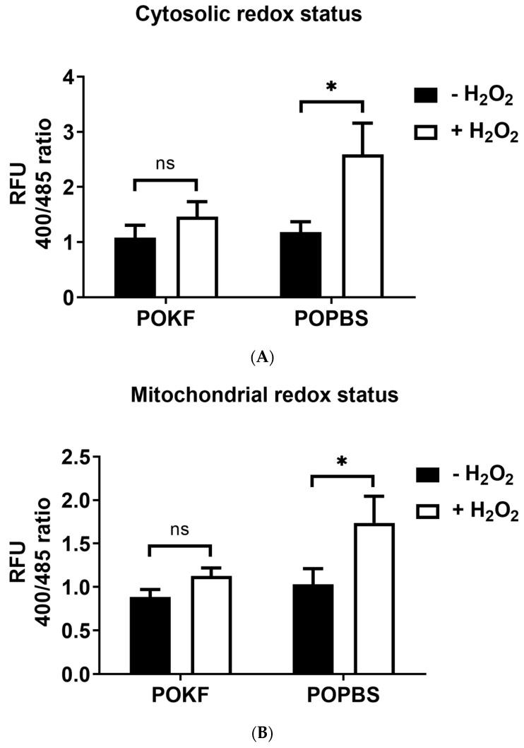 https://cdn.ncbi.nlm.nih.gov/pmc/blobs/725a/10886415/6be3a5ed1533/antioxidants-13-00188-g002.jpg