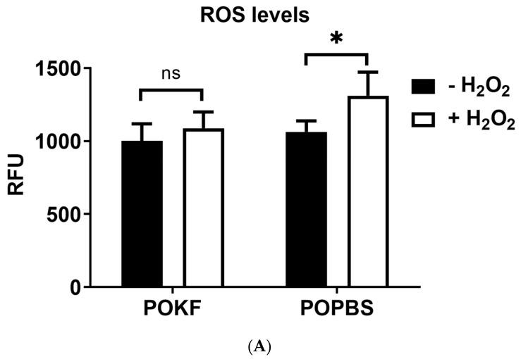 https://cdn.ncbi.nlm.nih.gov/pmc/blobs/725a/10886415/8e464b93053b/antioxidants-13-00188-g001a.jpg