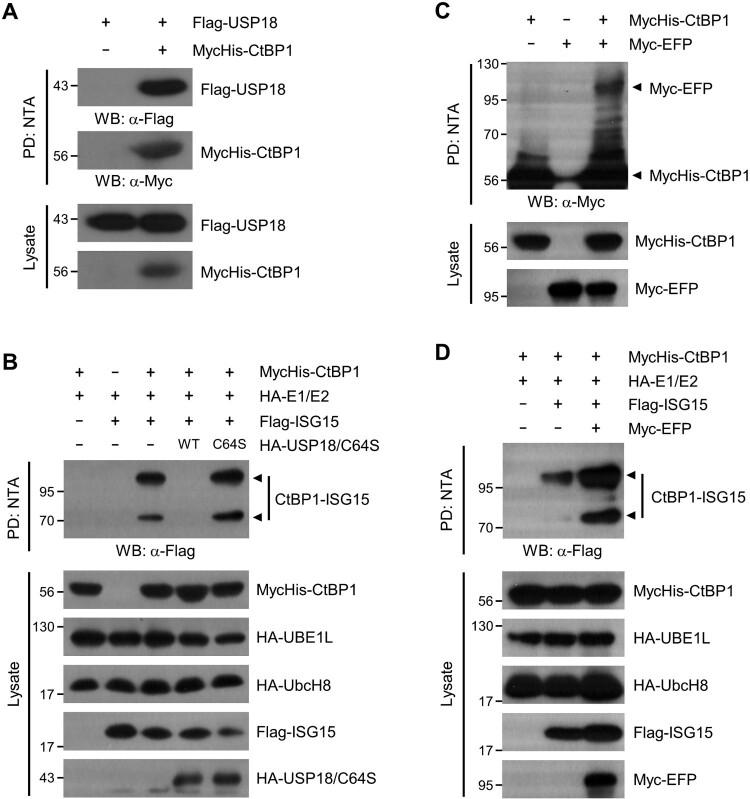 https://cdn.ncbi.nlm.nih.gov/pmc/blobs/725b/10885760/b6109ee5a2c5/TACS_A_2321354_F0002_OB.jpg