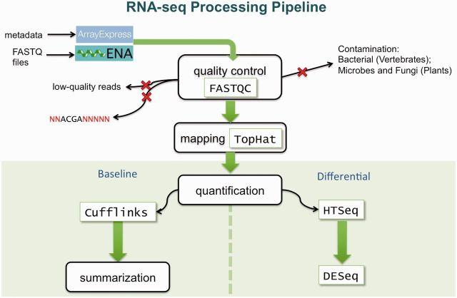 https://cdn.ncbi.nlm.nih.gov/pmc/blobs/725b/3964963/e55ea9c22a4f/gkt1270f1p.jpg