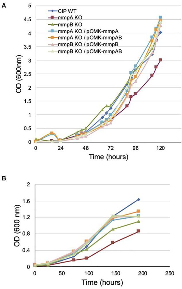 https://cdn.ncbi.nlm.nih.gov/pmc/blobs/725b/8317493/2f03a34e0664/fmicb-12-706207-g004.jpg