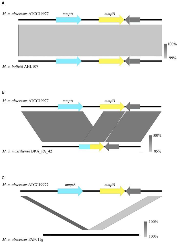 https://cdn.ncbi.nlm.nih.gov/pmc/blobs/725b/8317493/528cf8be29c3/fmicb-12-706207-g001.jpg
