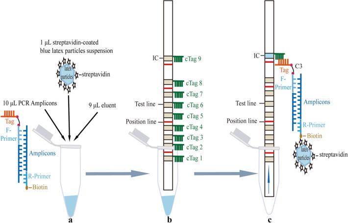 https://cdn.ncbi.nlm.nih.gov/pmc/blobs/725b/8326646/edcc0130bacb/284_2021_2621_Fig1_HTML.jpg