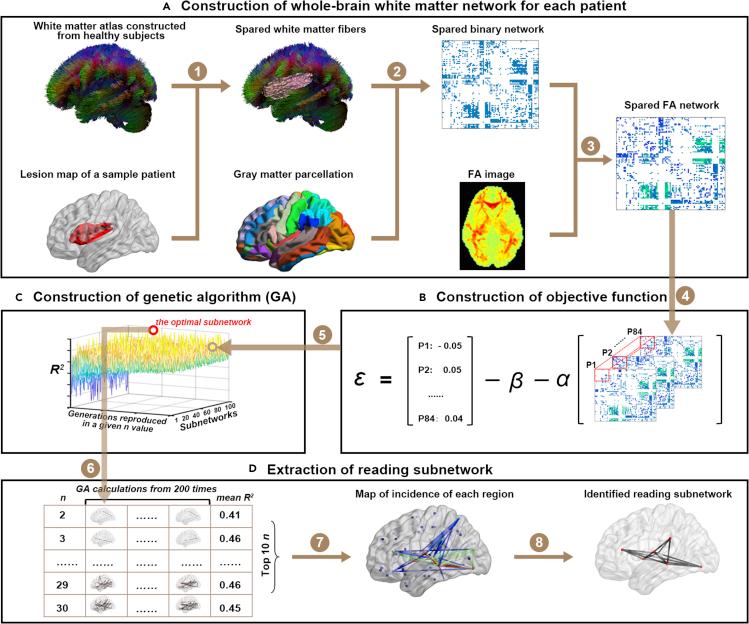 https://cdn.ncbi.nlm.nih.gov/pmc/blobs/725b/8346667/44f0b6bfcf03/gr1.jpg