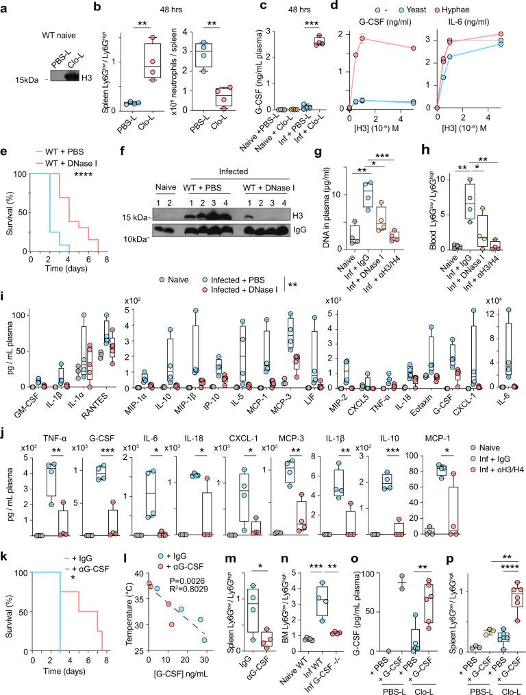 https://cdn.ncbi.nlm.nih.gov/pmc/blobs/725b/9363484/9a6949d9efdb/41467_2022_32320_Fig7_HTML.jpg