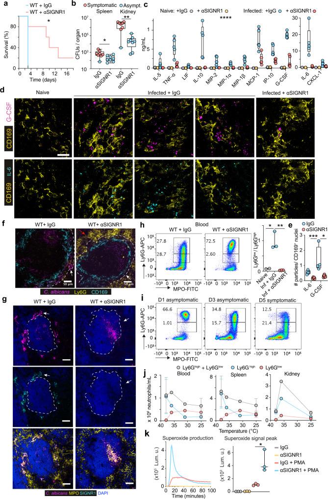 https://cdn.ncbi.nlm.nih.gov/pmc/blobs/725b/9363484/b437601c074f/41467_2022_32320_Fig3_HTML.jpg