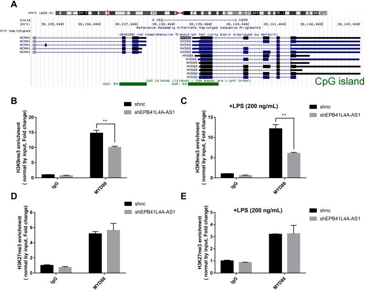 https://cdn.ncbi.nlm.nih.gov/pmc/blobs/725c/7829128/a61fac2658d8/DMSO-14-265-g0006.jpg