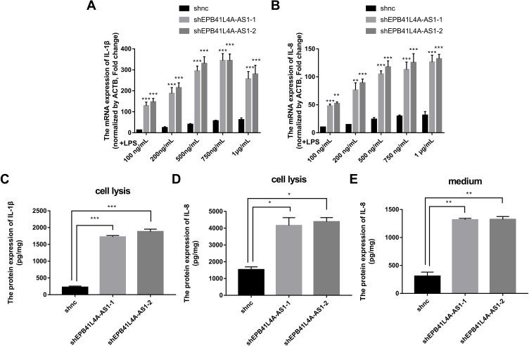 https://cdn.ncbi.nlm.nih.gov/pmc/blobs/725c/7829128/b9fb690bd582/DMSO-14-265-g0004.jpg