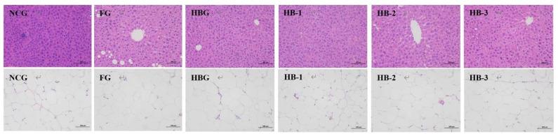 https://cdn.ncbi.nlm.nih.gov/pmc/blobs/725d/9777615/74fbf3204337/foods-11-04067-g003.jpg