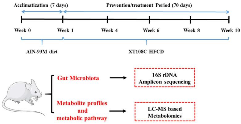 https://cdn.ncbi.nlm.nih.gov/pmc/blobs/725d/9777615/e65fbb02de54/foods-11-04067-g001.jpg