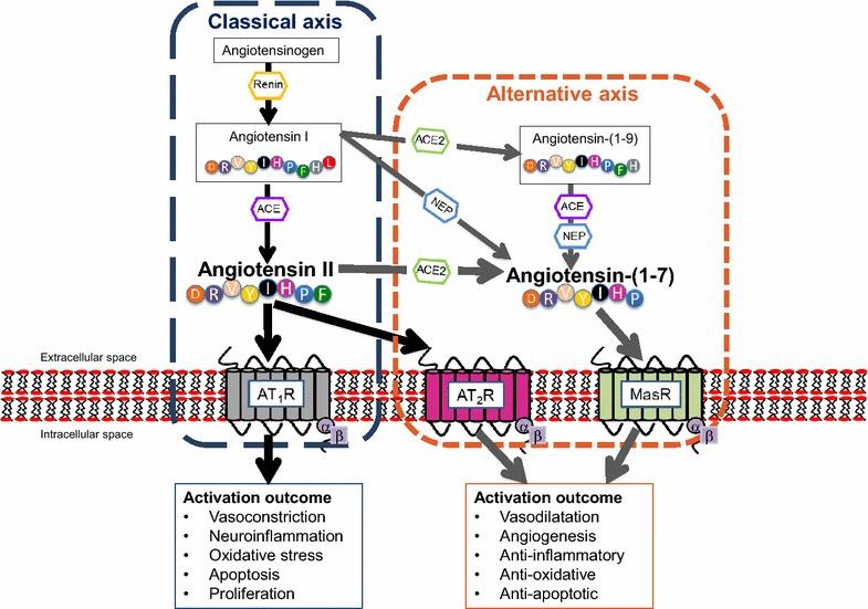 https://cdn.ncbi.nlm.nih.gov/pmc/blobs/725f/5054604/2967add5880c/13231_2016_22_Fig1_HTML.jpg