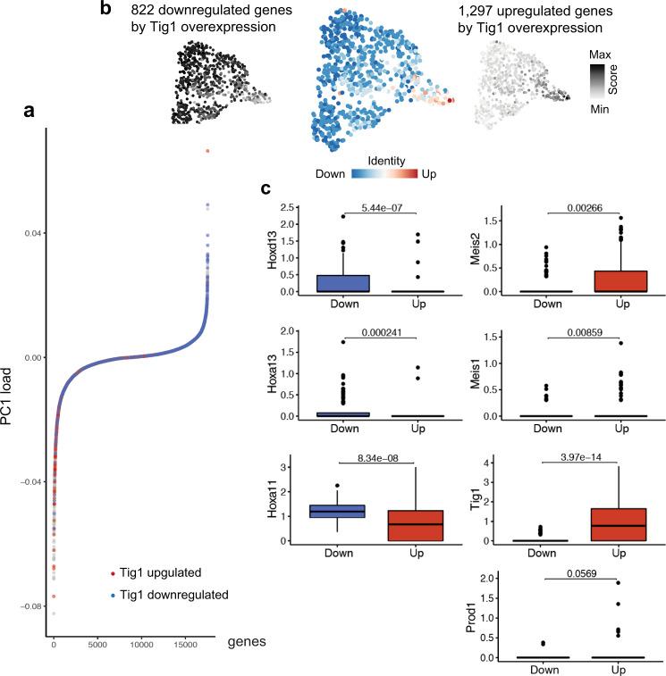 https://cdn.ncbi.nlm.nih.gov/pmc/blobs/7260/8894484/bb80b8396594/41467_2022_28755_Fig8_HTML.jpg