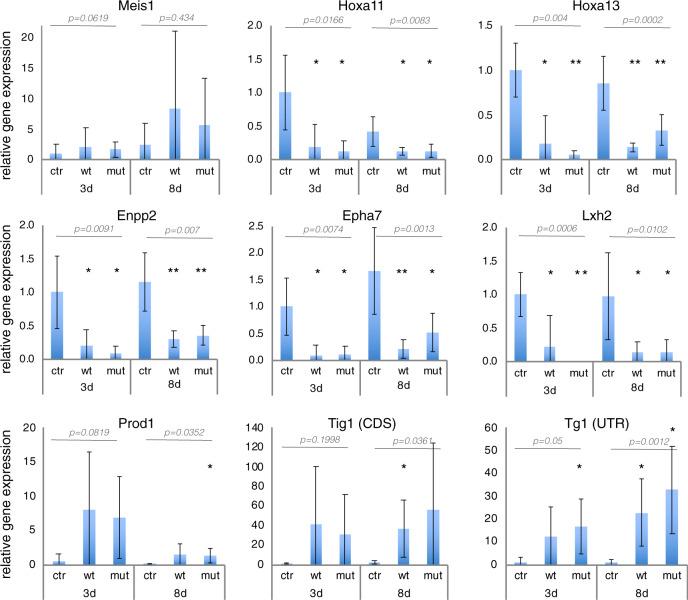 https://cdn.ncbi.nlm.nih.gov/pmc/blobs/7260/8894484/f9e9e81f2671/41467_2022_28755_Fig7_HTML.jpg