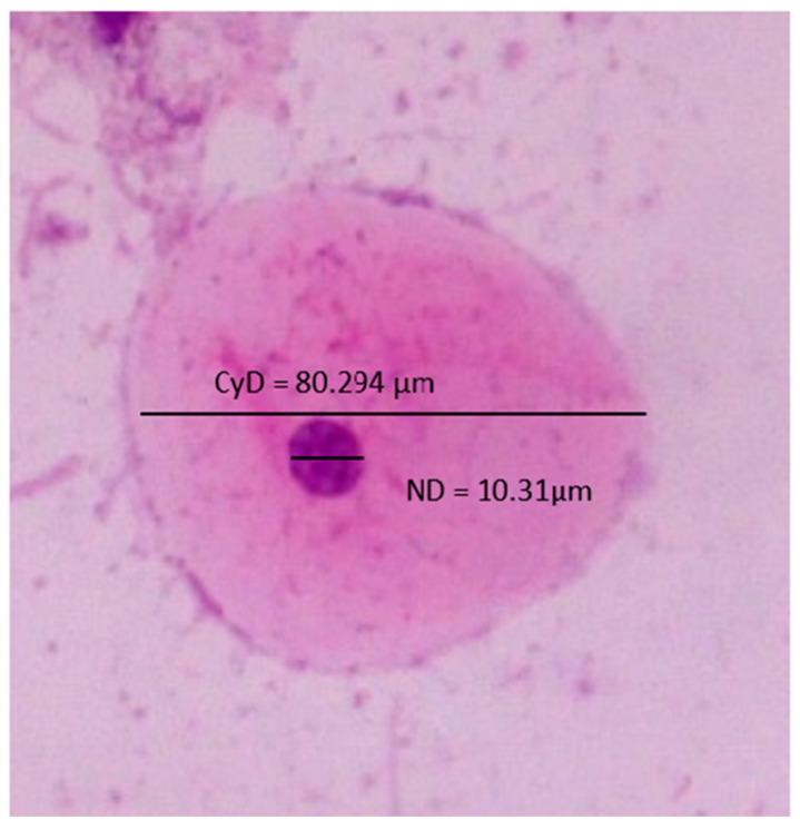 https://cdn.ncbi.nlm.nih.gov/pmc/blobs/7260/9857724/506f4c0e5174/diagnostics-13-00234-g001.jpg