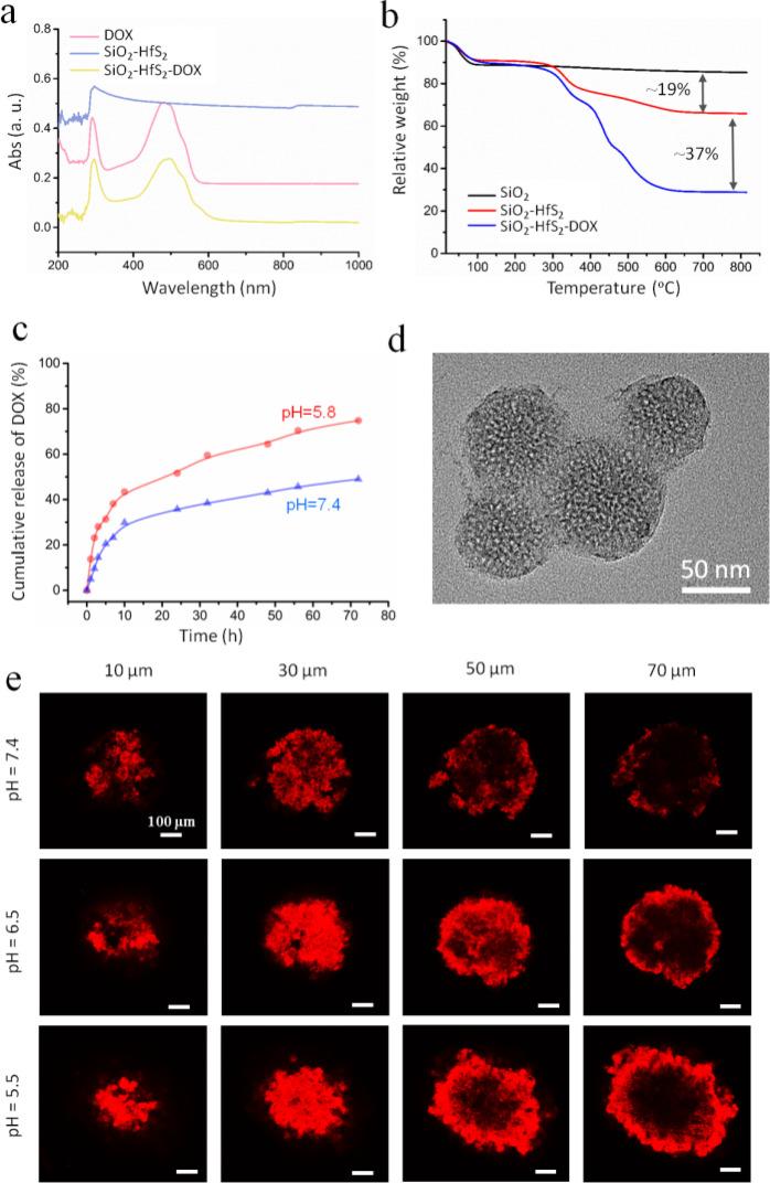 https://cdn.ncbi.nlm.nih.gov/pmc/blobs/7261/12319106/118f12649417/41598_2025_13072_Fig3_HTML.jpg