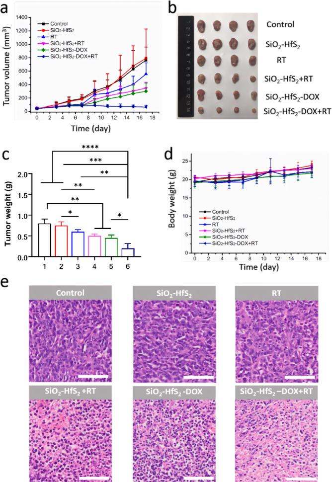 https://cdn.ncbi.nlm.nih.gov/pmc/blobs/7261/12319106/80ac2dcf08b4/41598_2025_13072_Fig6_HTML.jpg