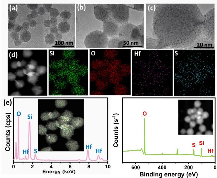 https://cdn.ncbi.nlm.nih.gov/pmc/blobs/7261/12319106/b99318003a00/41598_2025_13072_Fig1_HTML.jpg