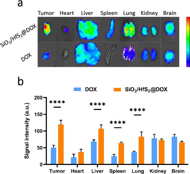 https://cdn.ncbi.nlm.nih.gov/pmc/blobs/7261/12319106/c35fd6946c35/41598_2025_13072_Fig5_HTML.jpg