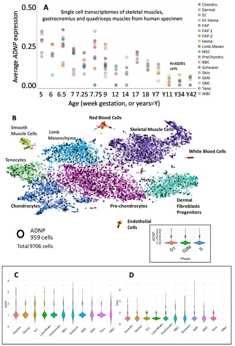 https://cdn.ncbi.nlm.nih.gov/pmc/blobs/7263/7603382/14e07c6b1f7a/cells-09-02320-g001.jpg
