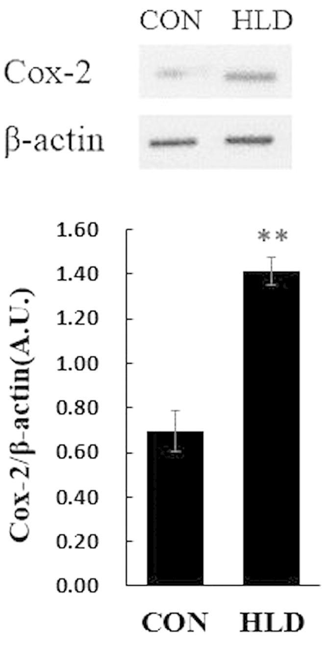 https://cdn.ncbi.nlm.nih.gov/pmc/blobs/7264/4735279/d24e6e91339d/srep19921-f6.jpg