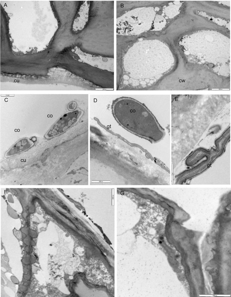 https://cdn.ncbi.nlm.nih.gov/pmc/blobs/7268/4975509/90facced7938/pone.0160675.g003.jpg