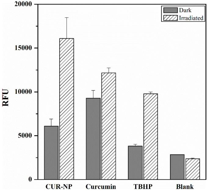 https://cdn.ncbi.nlm.nih.gov/pmc/blobs/7268/6630253/ea8dcfc4782a/pharmaceutics-11-00282-g005.jpg
