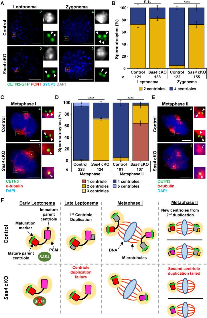 https://cdn.ncbi.nlm.nih.gov/pmc/blobs/726a/12064039/0d0bf49cc8f0/pgen.1011698.g003.jpg