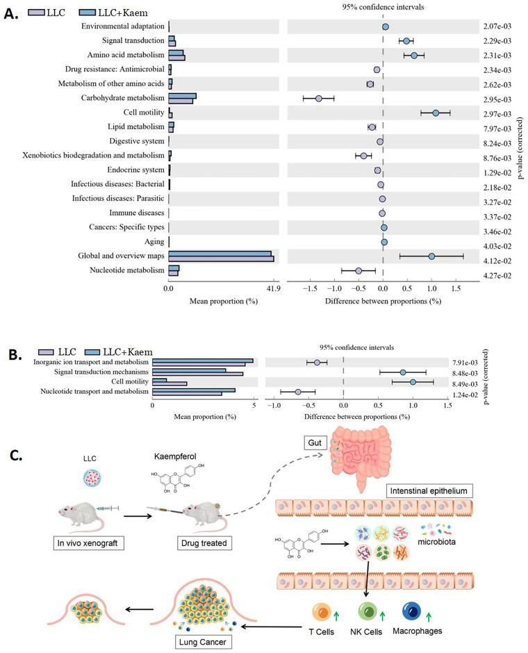 https://cdn.ncbi.nlm.nih.gov/pmc/blobs/726b/10861830/27775c68c391/jcav15p1314g009.jpg